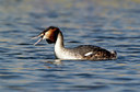 BUITEN BEELD Foto: 123887