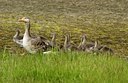 BUITEN BEELD Foto: 123909