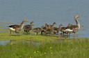 BUITEN BEELD Foto: 123910
