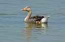 BUITEN BEELD Foto: 123914