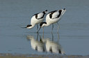 BUITEN BEELD Foto: 124952