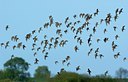 BUITEN BEELD Foto: 124972