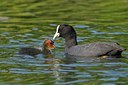 BUITEN BEELD Foto: 125004