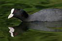 BUITEN BEELD Foto: 125005