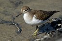 BUITEN BEELD Foto: 125009