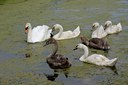BUITEN BEELD Foto: 125114