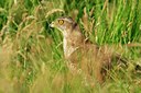 BUITEN BEELD Foto: 125202