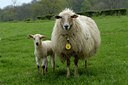 BUITEN BEELD Foto: 125579