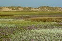 BUITEN BEELD Foto: 125684