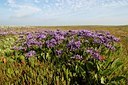 BUITEN BEELD Foto: 125688