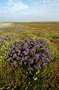 BUITEN BEELD Foto: 125689