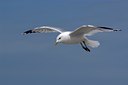 BUITEN BEELD Foto: 125728