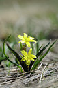 BUITEN BEELD Foto: 125799