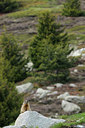 BUITEN BEELD Foto: 125800
