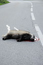 BUITEN BEELD Foto: 125831