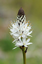 BUITEN BEELD Foto: 125844