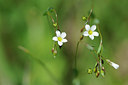 BUITEN BEELD Foto: 125857