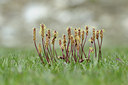 BUITEN BEELD Foto: 125903