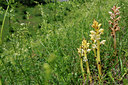 BUITEN BEELD Foto: 125943