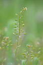 BUITEN BEELD Foto: 125955