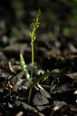 BUITEN BEELD Foto: 126011