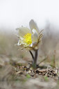 BUITEN BEELD Foto: 126069
