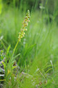 BUITEN BEELD Foto: 126123