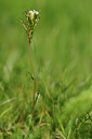 BUITEN BEELD Foto: 126151