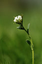 BUITEN BEELD Foto: 126170