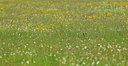BUITEN BEELD Foto: 126202