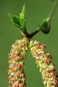 BUITEN BEELD Foto: 126289
