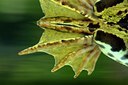 BUITEN BEELD Foto: 126354