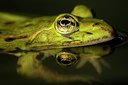 BUITEN BEELD Foto: 126356