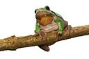 BUITEN BEELD Foto: 126373