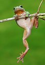 BUITEN BEELD Foto: 126377