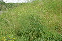 BUITEN BEELD Foto: 126420