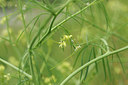 BUITEN BEELD Foto: 126421