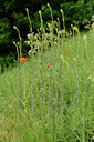 BUITEN BEELD Foto: 126430