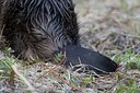 BUITEN BEELD Foto: 126445