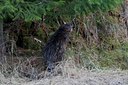 BUITEN BEELD Foto: 126453
