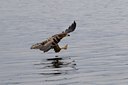 BUITEN BEELD Foto: 126470