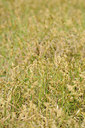BUITEN BEELD Foto: 126555
