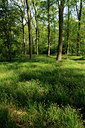 BUITEN BEELD Foto: 126570