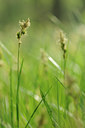 BUITEN BEELD Foto: 126591