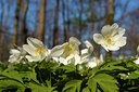 BUITEN BEELD Foto: 126692