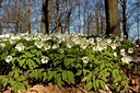 BUITEN BEELD Foto: 126693