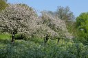 BUITEN BEELD Foto: 126712