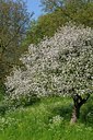 BUITEN BEELD Foto: 126717