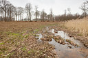 BUITEN BEELD Foto: 126780