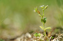 BUITEN BEELD Foto: 126790
